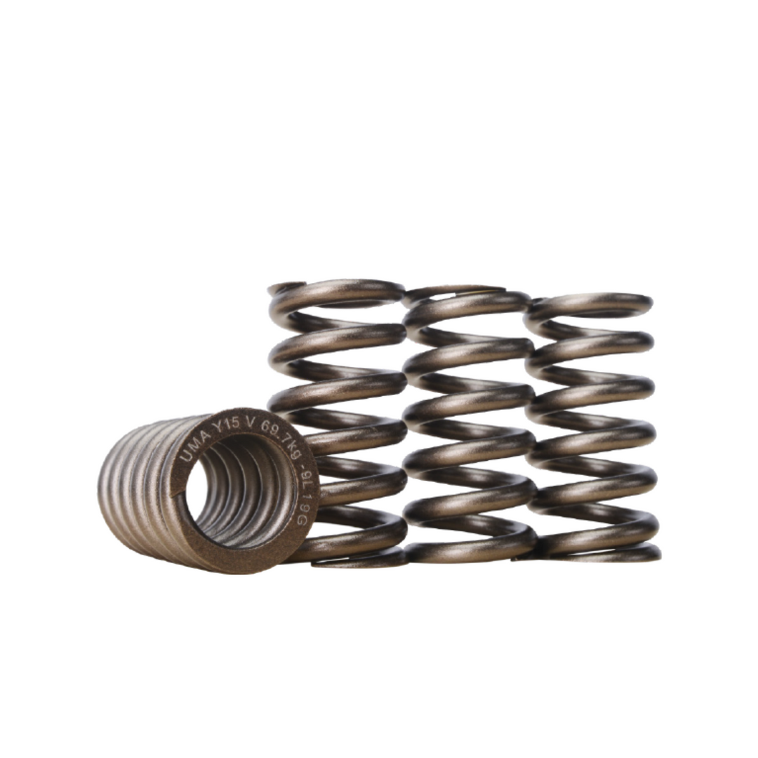 R/S SPEC VALVE SPRING FOR Y15ZR