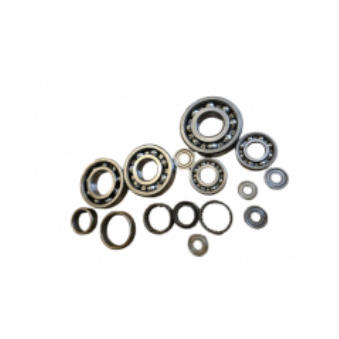 KIT COJINETES MOTOR EC 250 300